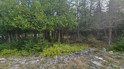 LT 254 Dorcas Bay Rd, Northern Bruce Peninsula - Northern Bruce Peninsula image-0-4