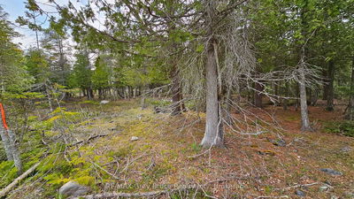 LT 255 Pedwell Pt. Dr, Northern Bruce Peninsula - Northern Bruce Peninsula