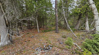 LT 255 Pedwell Pt. Dr, Northern Bruce Peninsula - Northern Bruce Peninsula image-0-1
