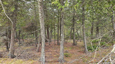 LT 255 Pedwell Pt. Dr, Northern Bruce Peninsula - Northern Bruce Peninsula image-0-2