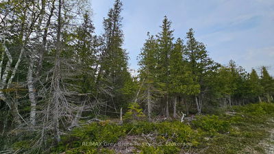 LT 255 Pedwell Pt. Dr, Northern Bruce Peninsula - Northern Bruce Peninsula image-0-3
