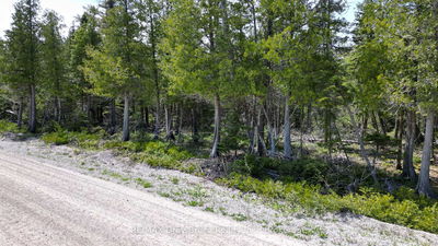 LT 255 Pedwell Pt. Dr, Northern Bruce Peninsula - Northern Bruce Peninsula image-0-4