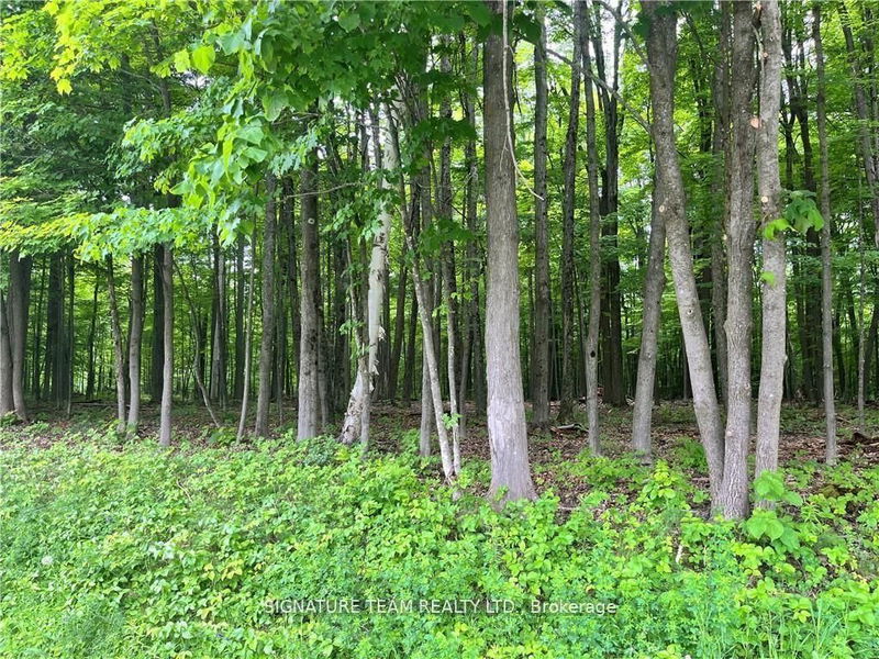 Lot 1 Point Rd, White Lake - Mcnab/Braeside Twps image-0-0