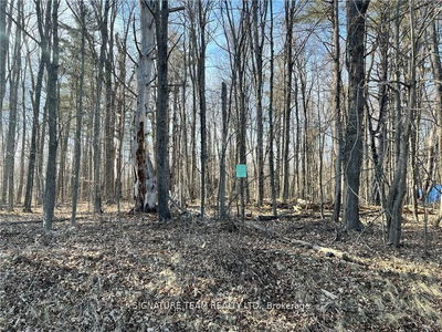 Lot 1 Point Rd, White Lake - Mcnab/Braeside Twps image-0-3