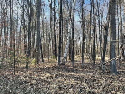 Lot 1 Point Rd, White Lake - Mcnab/Braeside Twps image-0-4