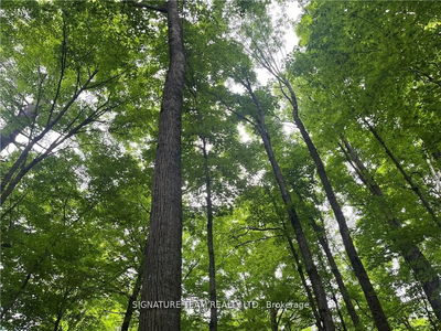 lot 2 Point Rd, White Lake - Mcnab/Braeside Twps