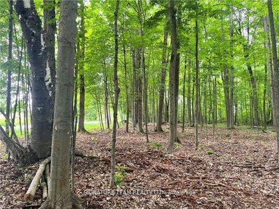 lot 2 Point Rd, White Lake - Mcnab/Braeside Twps image-0-1