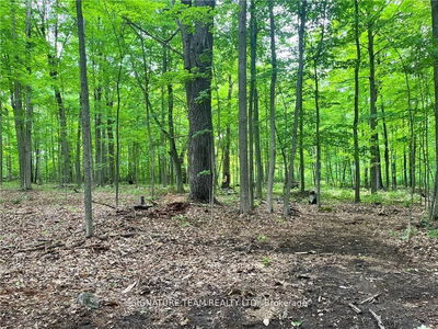 lot 2 Point Rd, White Lake - Mcnab/Braeside Twps image-0-2