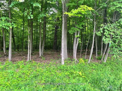 lot 2 Point Rd, White Lake - Mcnab/Braeside Twps image-0-3