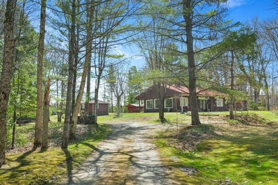 11 Birch Lane, McDougall - McDougall image-0-3