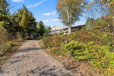 558 Mccauley Lake Rd, South Algonquin - South Algonquin image-0-3