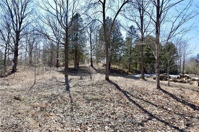 ~20 Ballantra Dr, Tamworth - Stone Mills