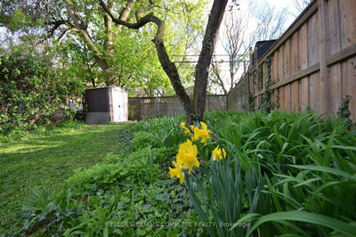 25 Chatham St, Hamilton - Kirkendall image-0-2