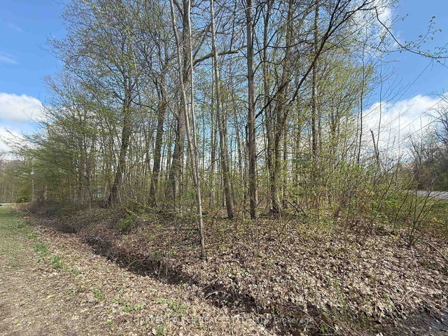 0 Oakwood Lane