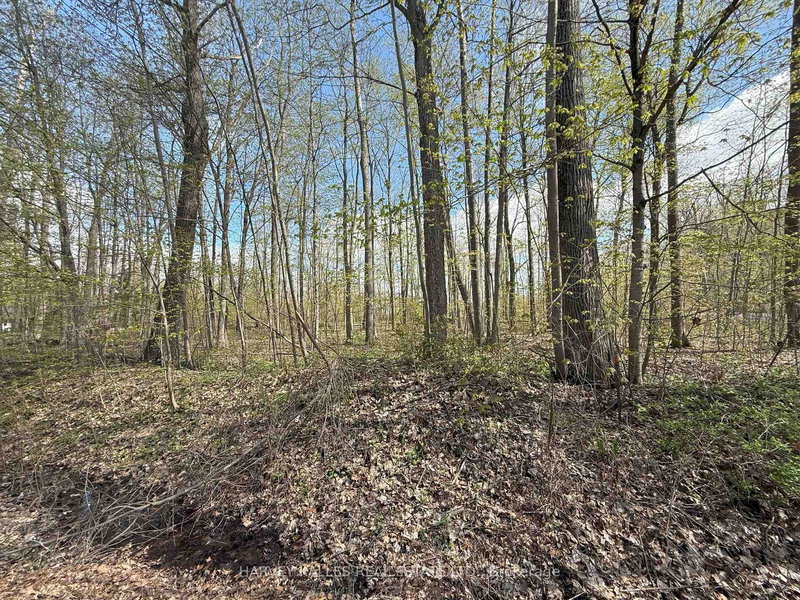 0 Oakwood Lane, Bath, K0H 1G0 | Image 3