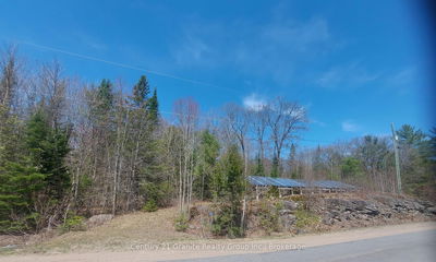 1145 Little Hawk Lake Rd, Algonquin Highlands - Stanhope image-0-1