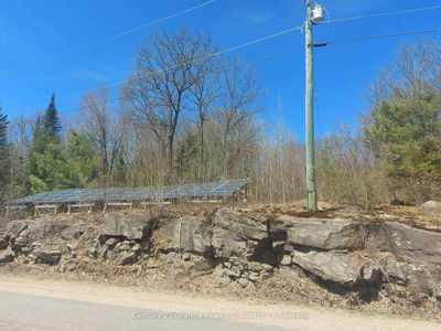 1145 Little Hawk Lake Rd, Algonquin Highlands - Stanhope image-0-2