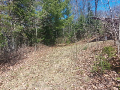 1145 Little Hawk Lake Rd, Algonquin Highlands - Stanhope image-0-3
