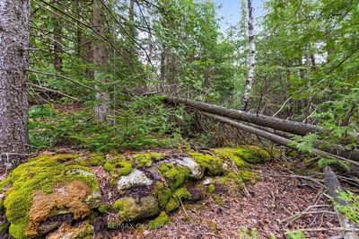 Part Farm Lot 4 CHI SIN TIB DEK Rd, Northern Bruce Peninsula - Northern Bruce Peninsula image-0-2