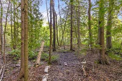 Part Farm Lot 4 CHI SIN TIB DEK Rd, Northern Bruce Peninsula - Northern Bruce Peninsula image-0-3