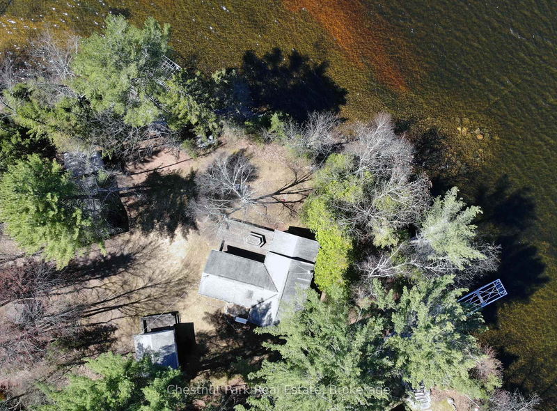 1036 Abbey Lane, Algonquin Highlands - Stanhope image-0-0
