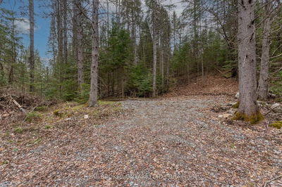 1272 Ursa Rd, Highlands East - Glamorgan image-0-3