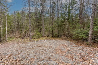 1272 Ursa Rd, Highlands East - Glamorgan image-0-4