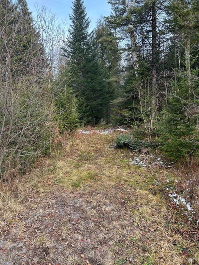  Madawaska Rd, Maynooth - McClure Ward