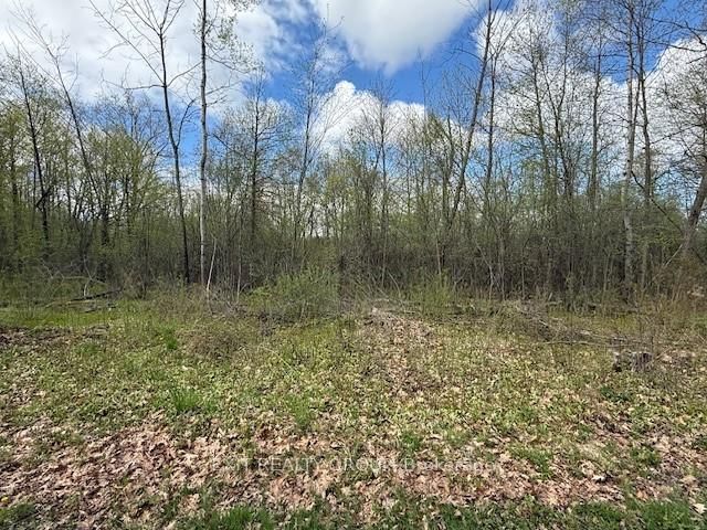 PT LT 8 CONCESSION ROAD 10, Trent Hills - Rural Trent Hills image-0-0