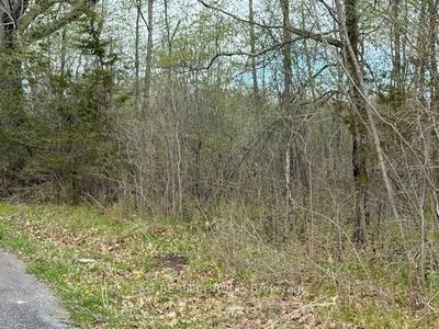 PT LT 8 CONCESSION ROAD 10, Trent Hills - Rural Trent Hills image-0-1