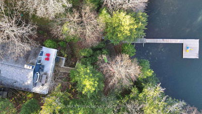 1171 STRAGGLE LAKE Dr, Dysart et al - Harcourt image-0-2