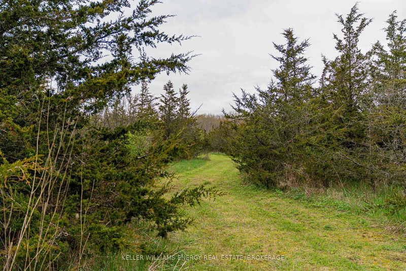 242 Kelly Rd, Prince Edward County - Athol Ward image-0-0