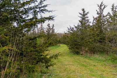 242 Kelly Rd, Prince Edward County - Athol Ward