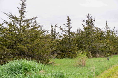 242 Kelly Rd, Prince Edward County - Athol Ward image-0-2