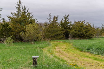 242 Kelly Rd, Prince Edward County - Athol Ward image-0-4