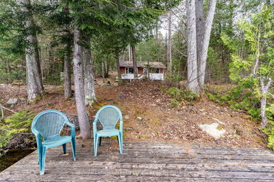 1042 Farmer Hays Dr, Algonquin Highlands - McClintock image-0-4