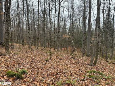 LOT 3 HILL AND GULLY Rd, Ryerson - Ryerson image-0-4