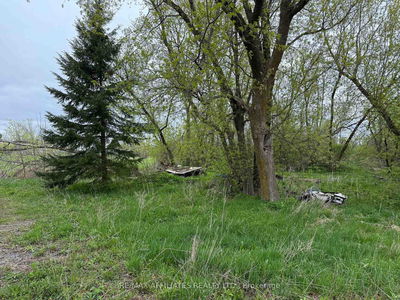  SAVING St, South Stormont - South Stormont (Osnabruck) Twp image-0-4