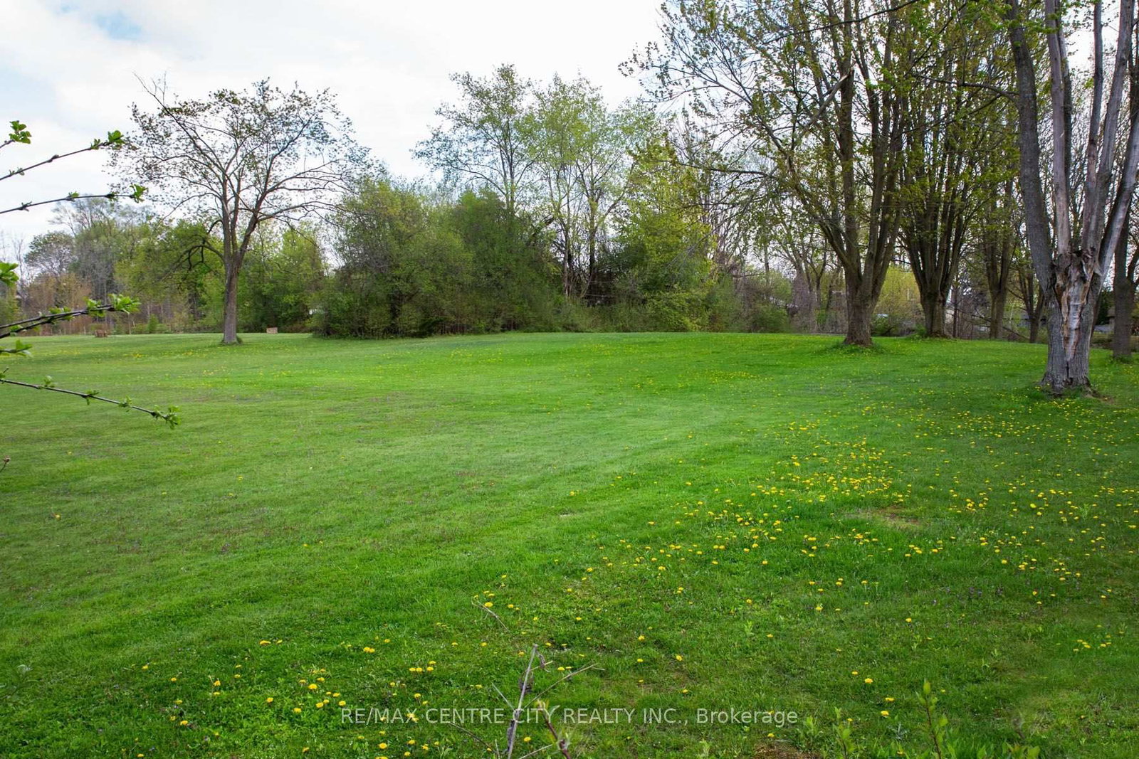 Listing Image 33