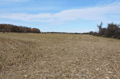 385517 Oxford 59 Rd, Norwich - Rural Norwich image-0-4