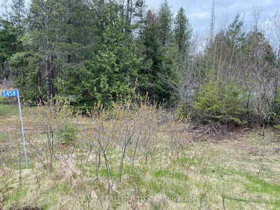 3458 Old Hastings Rd, Coe Hill - Wollaston
