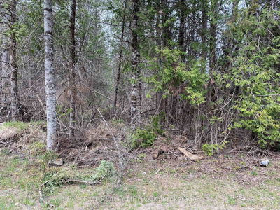 3458 Old Hastings Rd, Coe Hill - Wollaston image-0-2