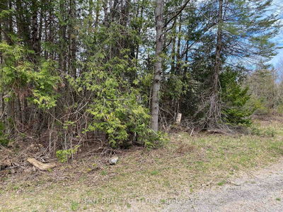 3458 Old Hastings Rd, Coe Hill - Wollaston image-0-3