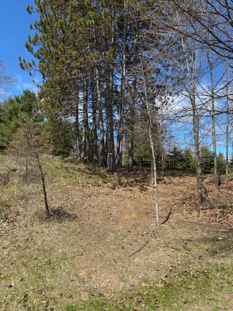 26686 Highway 62, Bancroft - Dungannon Ward image-0-0