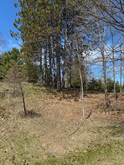 26686 Highway 62, Bancroft - Dungannon Ward