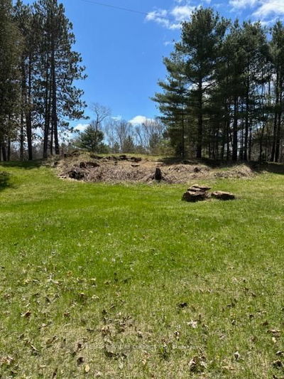 26686 Highway 62, Bancroft - Dungannon Ward image-0-4