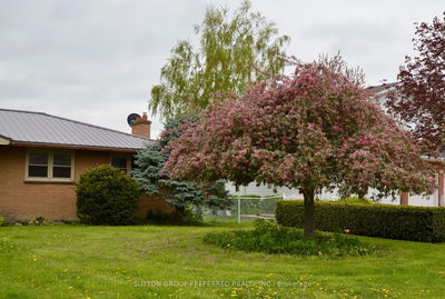 258 Miller Rd, Dutton/Dunwich - Dutton image-0-1