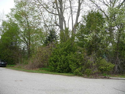 9437 Currie Rd, Dutton/Dunwich - Wallacetown image-0-4