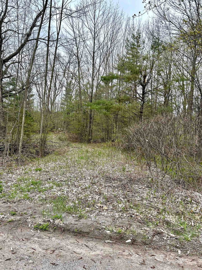 31 Glen Ridge Rd, Limoges, K0K 2M0 | Image 3