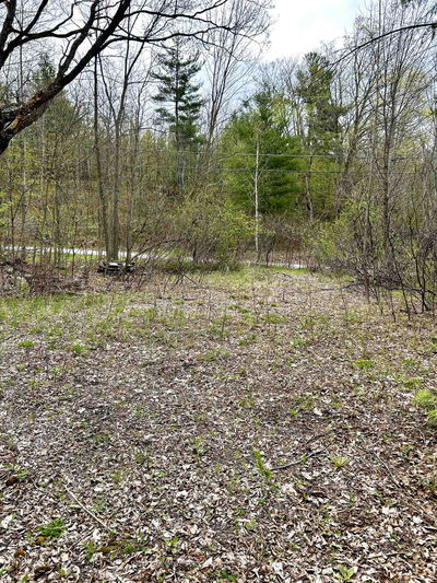 31 Glen Ridge Rd, Limoges - Marmora Ward image-0-4